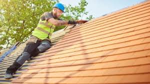 Best Roof Moss and Algae Removal  in Rapid City, MI