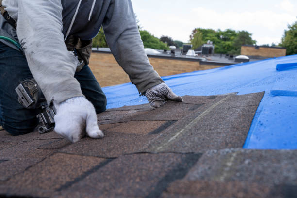 Best Roof Coating and Sealing  in Rapid City, MI