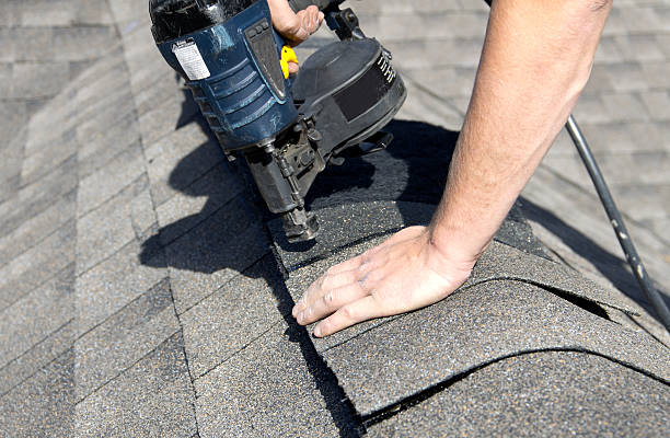 Best Solar Panel Roofing Installation  in Rapid City, MI